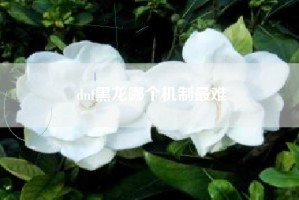 dnf黑龙哪个机制最难