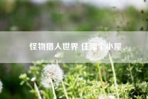 怪物猎人世界 住哪个小屋
