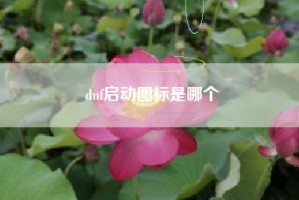 dnf启动图标是哪个