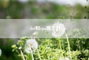 dnf和cpu哪个好