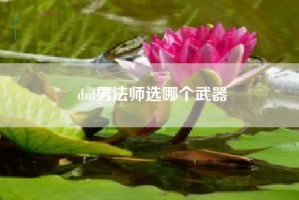 dnf男法师选哪个武器