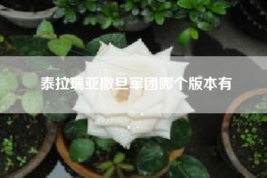 泰拉瑞亚撒旦军团哪个版本有