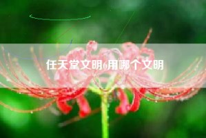 任天堂文明6用哪个文明
