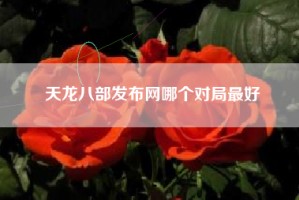天龙八部发布网哪个对局最好