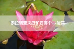 泰拉瑞亚灾厄矿石哪个npc能买