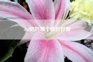 dnf奶妈哪个装扮好看