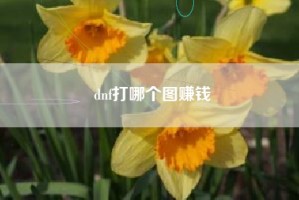 dnf打哪个图赚钱