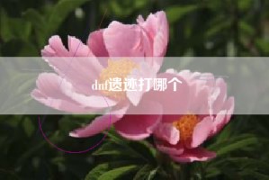 dnf遗迹打哪个