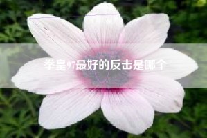 拳皇97最好的反击是哪个