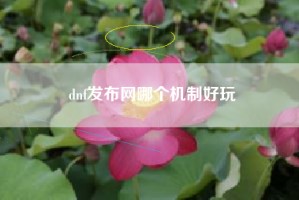 dnf发布网哪个机制好玩