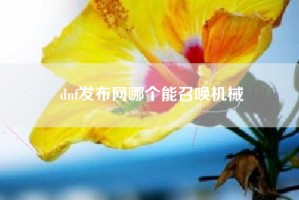 dnf发布网哪个能召唤机械
