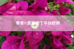 拳皇97直播哪个平台好用