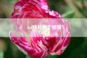 dnf铁片哪个图爆