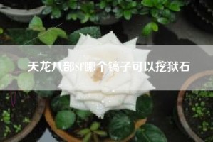 天龙八部SF哪个镐子可以挖狱石