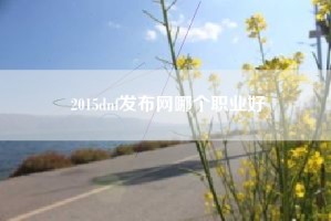 2015dnf发布网哪个职业好
