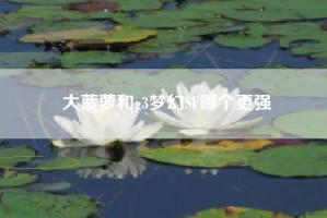 大菠萝和g3梦幻SF哪个更强