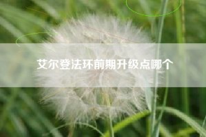艾尔登法环前期升级点哪个