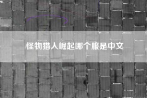 怪物猎人崛起哪个服是中文