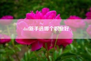 dnf新手选哪个职业好