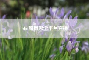 dnf都用哪个平台直播