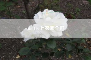 dnf100上衣哪个好
