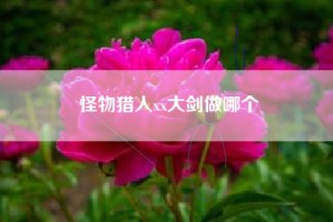 怪物猎人xx大剑做哪个