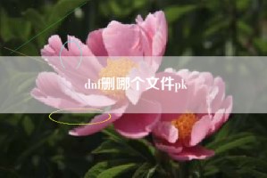 dnf删哪个文件pk