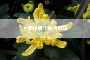 97拳皇哪个角色好玩
