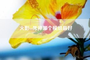 火影vs死神哪个模组最好