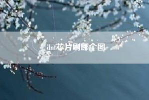 dnf芯片刷哪个图