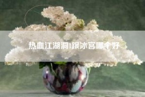 热血江湖洞1跟冰宫哪个好