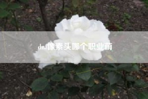 dnf像素头哪个职业萌