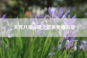 天龙八部SF哪个套装免疫岩浆