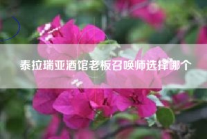 泰拉瑞亚酒馆老板召唤师选择哪个