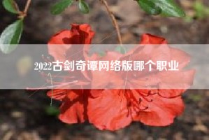 2022古剑奇谭网络版哪个职业
