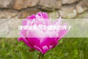弹弹堂是哪个国家的牌子