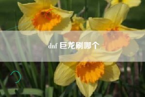 dnf 巨龙刷哪个