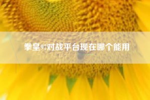 拳皇97对战平台现在哪个能用