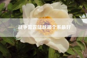 战争雷霆陆战哪个系最好