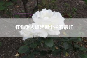 怪物猎人崛起哪个护石最好