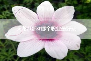 天龙八部SF哪个职业最好玩