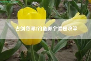 古剑奇谭3钓鱼哪个键是收竿