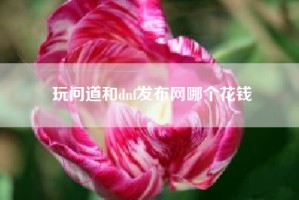 玩问道和dnf发布网哪个花钱