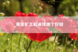 黄金矿工和桌球哪个好做