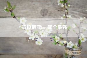 泰拉瑞亚boss哪个最强