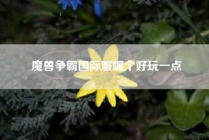 魔兽争霸国际服哪个好玩一点