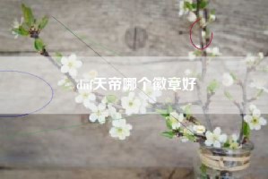 dnf天帝哪个徽章好