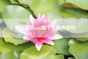 泰拉瑞亚grox哪个宝藏袋掉的