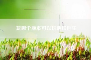 玩哪个版本可以玩地铁逃生