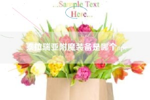 泰拉瑞亚附魔装备是哪个npc